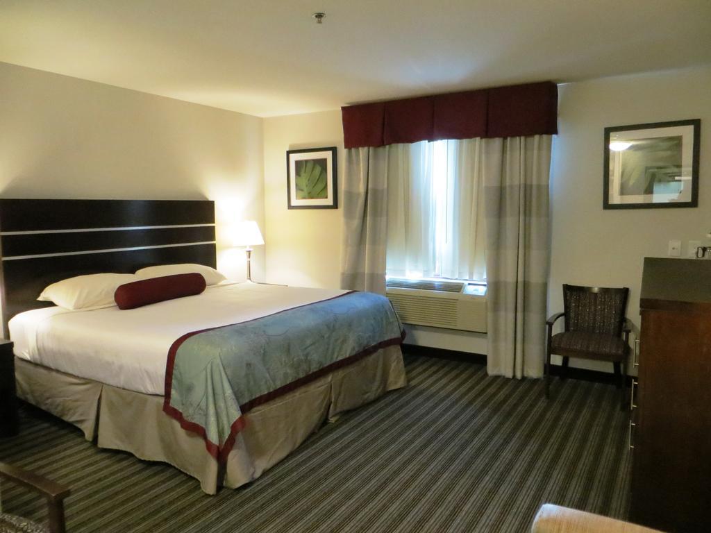Hotel Super 8 By Wyndham Saskatoon Near Downtown Esterno foto