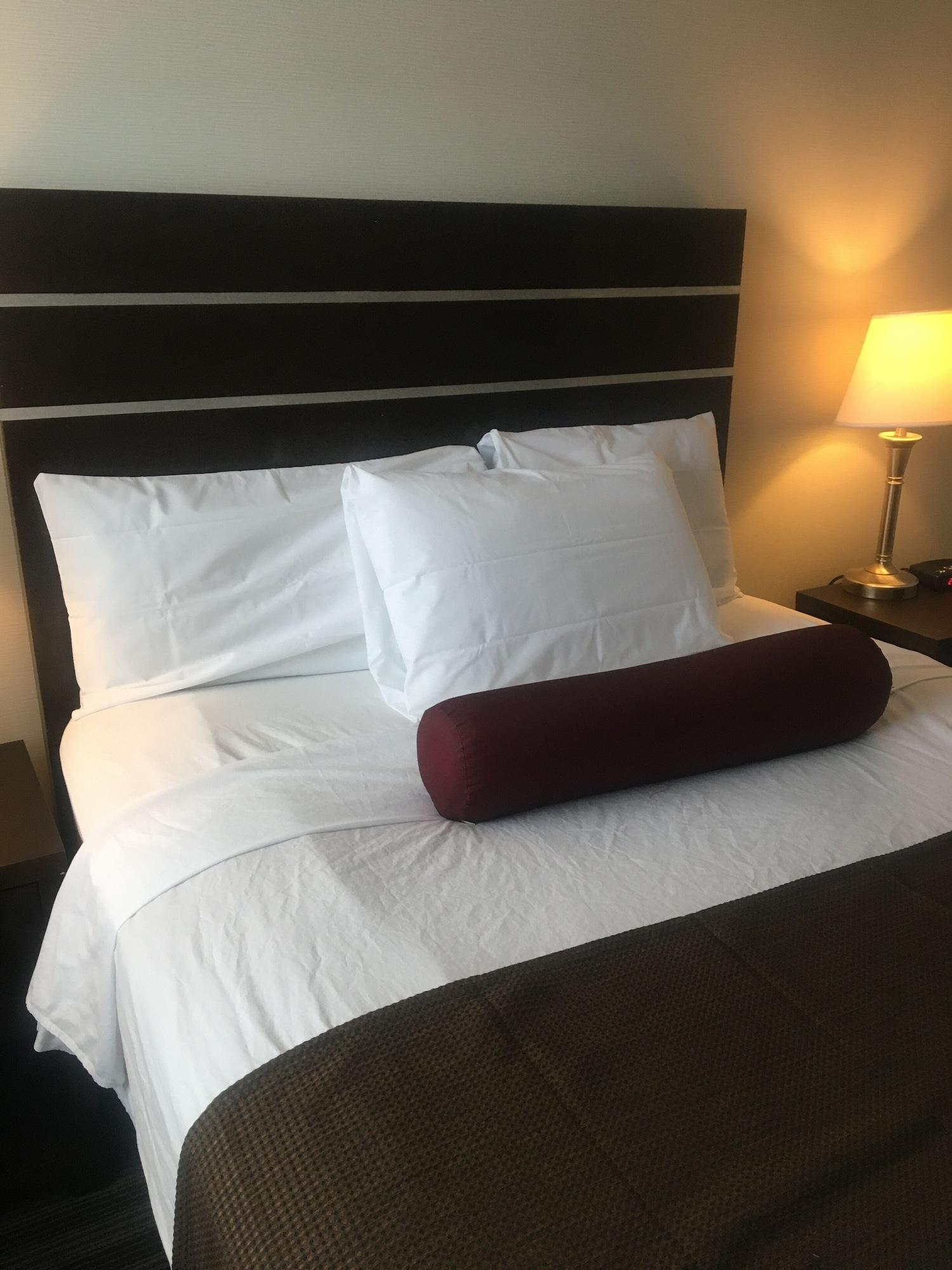 Hotel Super 8 By Wyndham Saskatoon Near Downtown Esterno foto